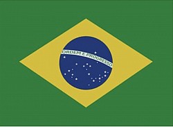 Sim, o Brasil adaptou o jiu-jitsu japonês, transformando-o no Jiu-Jitsu Brasileiro (BJJ), principalmente através da família Gracie, que adaptou as técnicas de Mitsuyo Maeda, focando em alavancas e luta de solo para permitir que lutadores menores vencessem adversários maiores, tornando-se um fenômeno mundial.